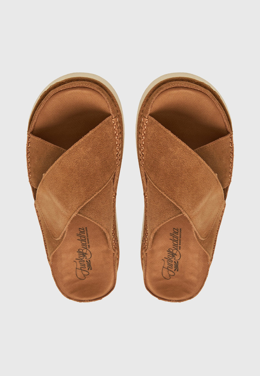#color_CAMEL