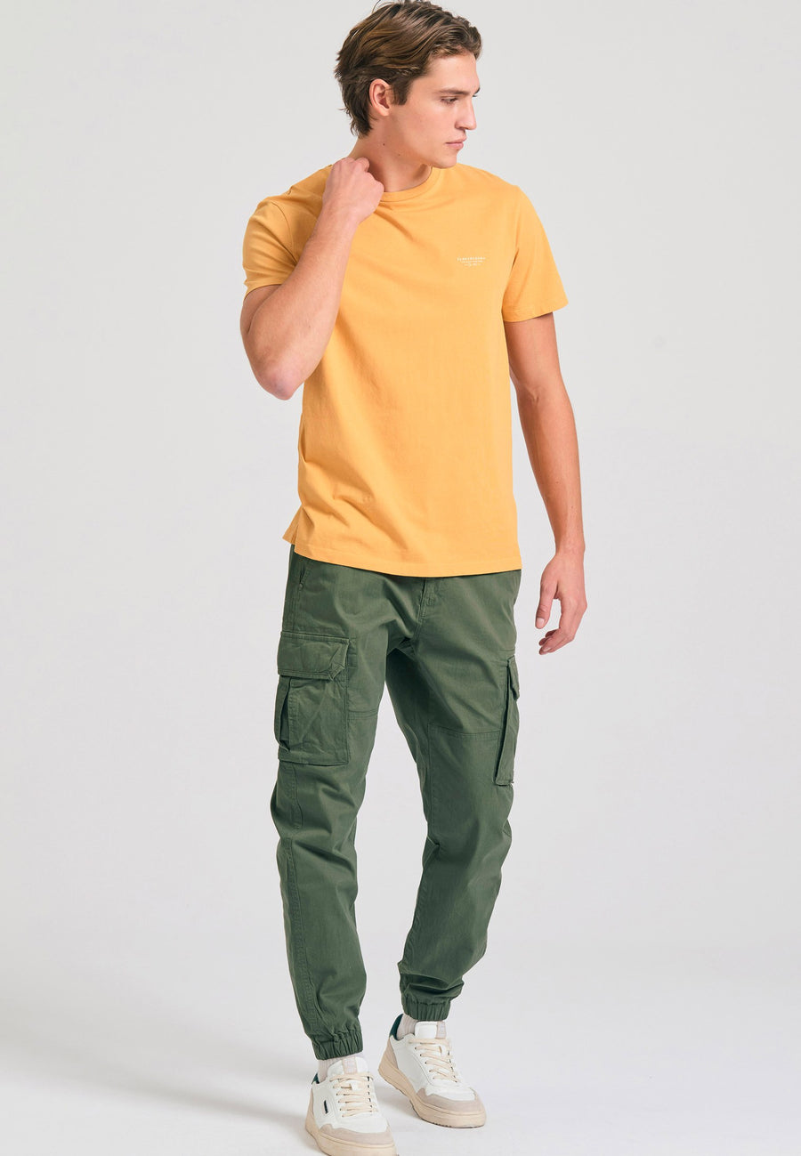 #color_MINERAL YELLOW
